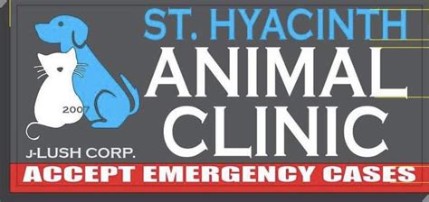 cainta municipal veterinary clinic|St. Hyacinth Animal Clinic Main.